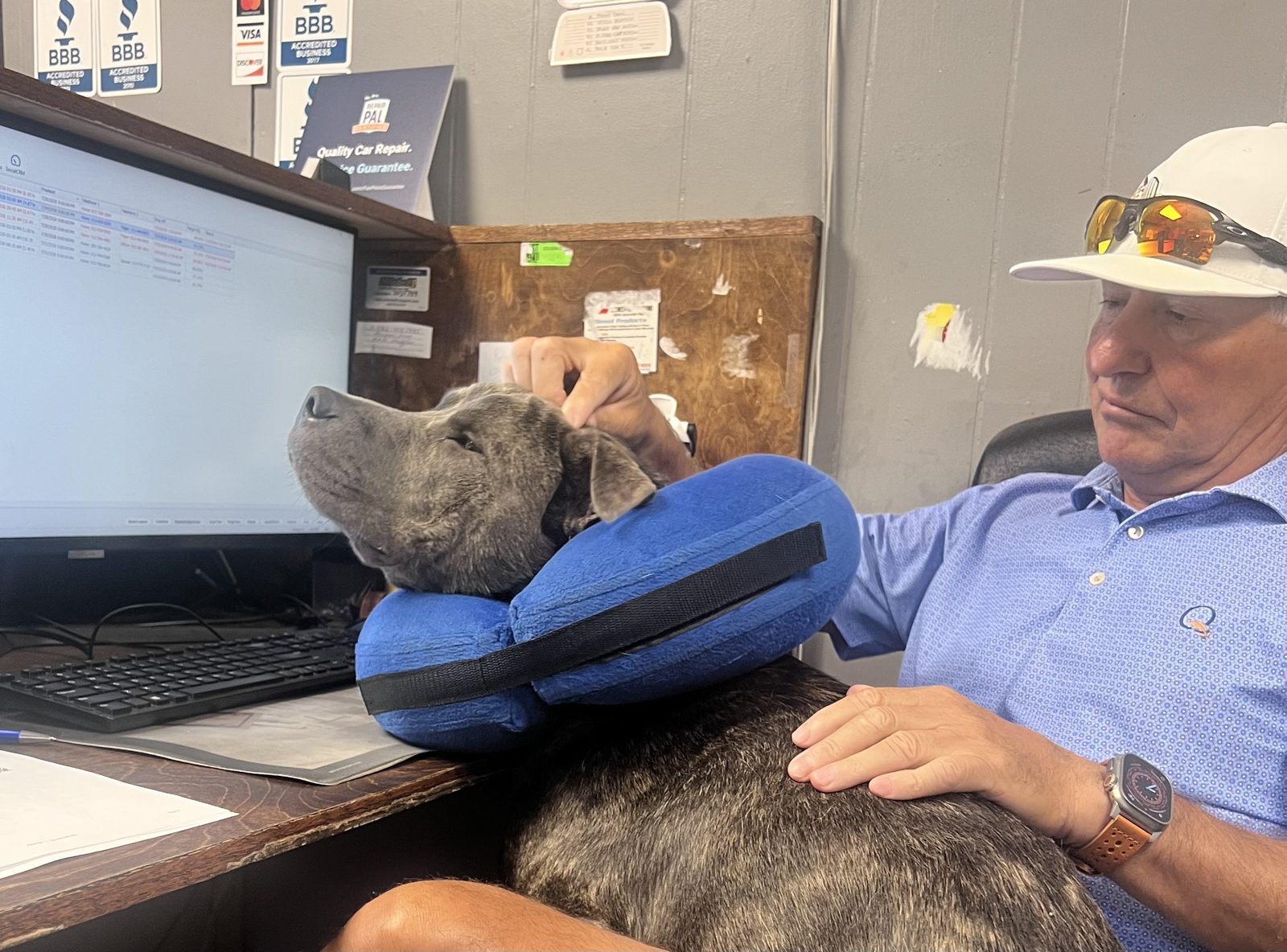 Diesel the shop dog